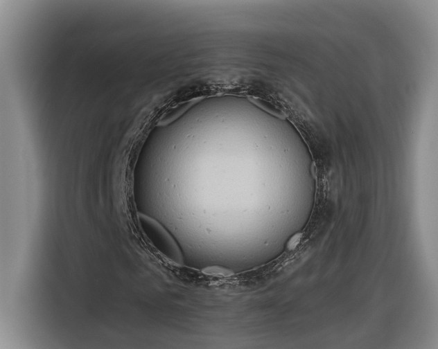 X0000116300961200912071245