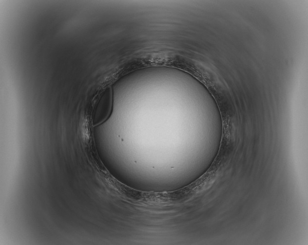 X0000116300962200912071245