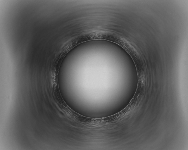 X0000116300964200912071245