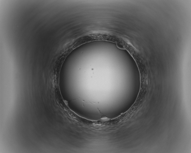 X0000116300965200912071245