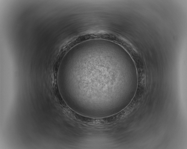 X0000116300966200912071245