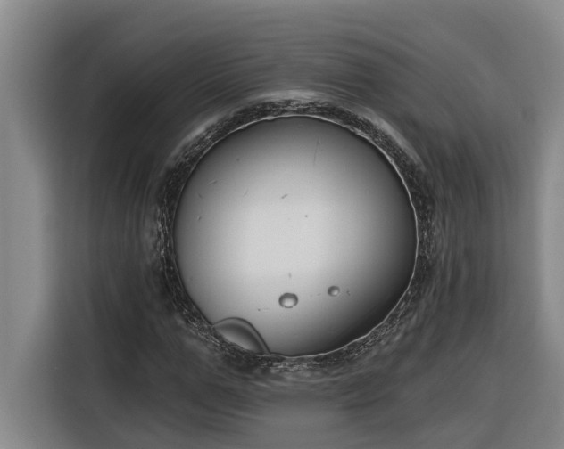 X0000116300967200912071245