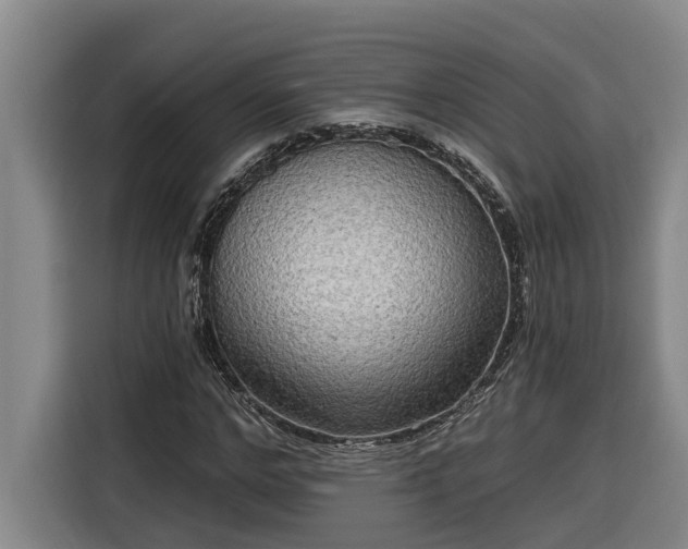 X0000116300968200912071245