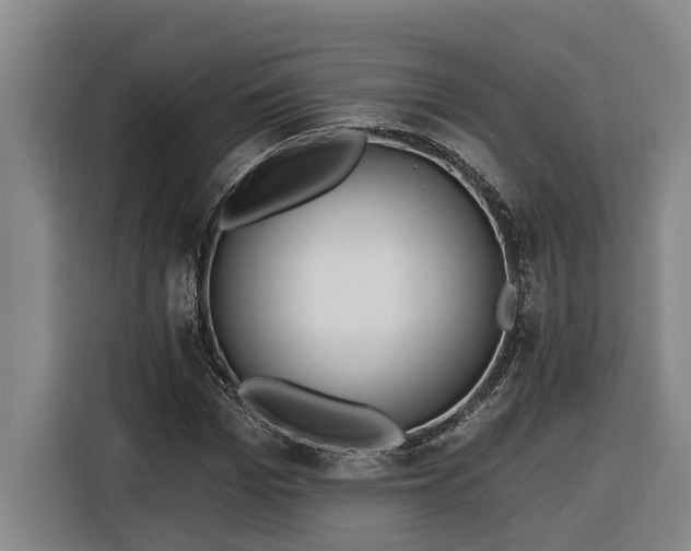 X0000116300969200912071245