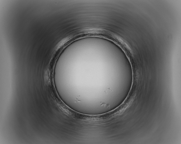 X0000116300970200912071245