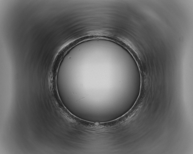 X0000116300971200912071245