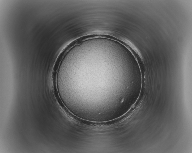 X0000116300972200912071245