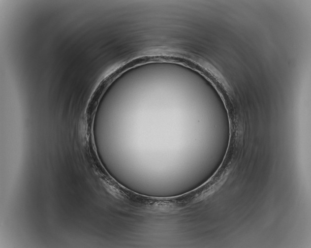 X0000116300974200912071245