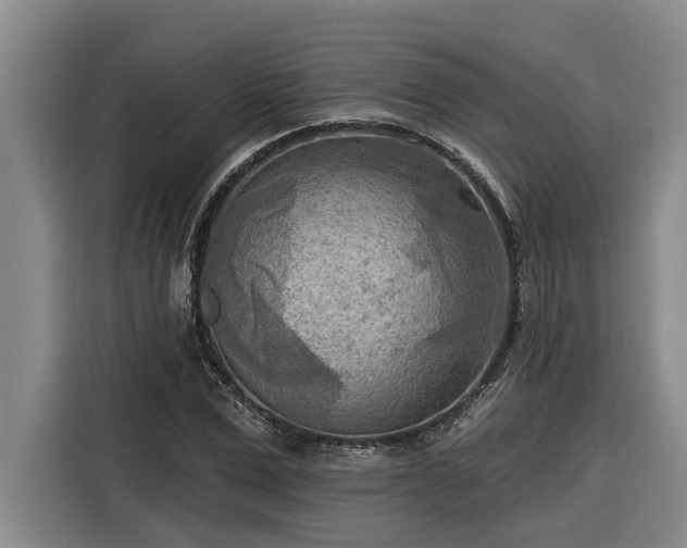 X0000116300975200912071245