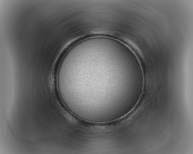 X0000116300976200912071245