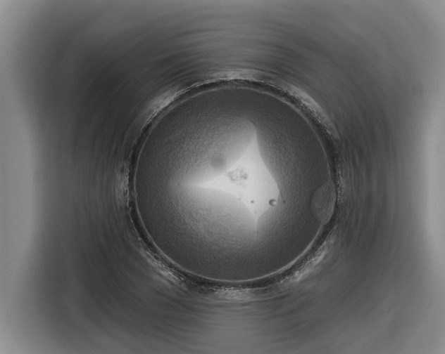 X0000116300977200912071245