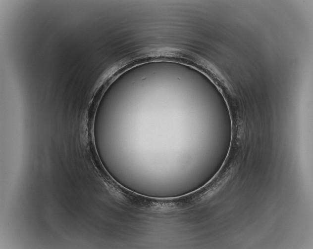 X0000116300978200912071245