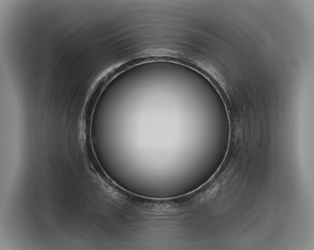 X0000116300979200912071245