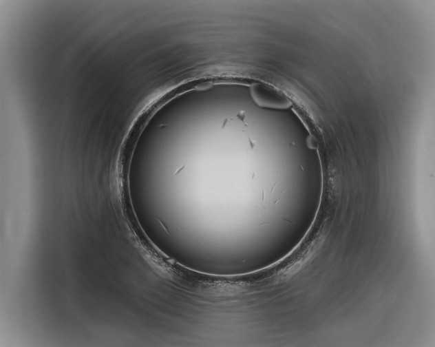 X0000116300981200912071245