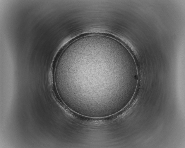 X0000116300982200912071245