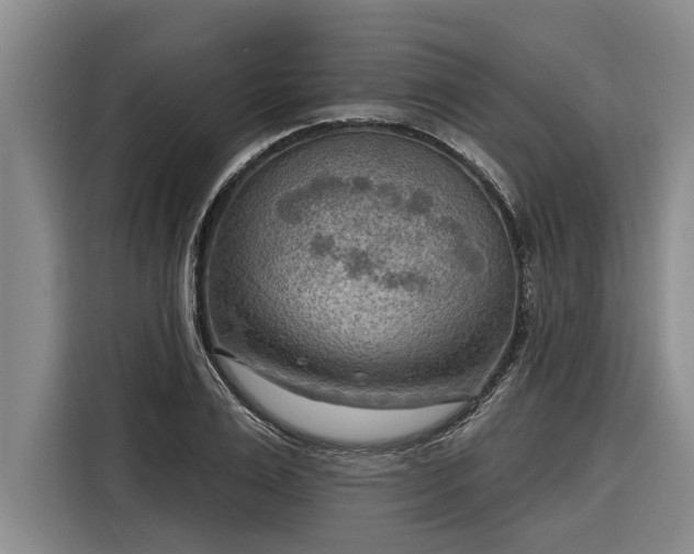 X0000116300983200912071245