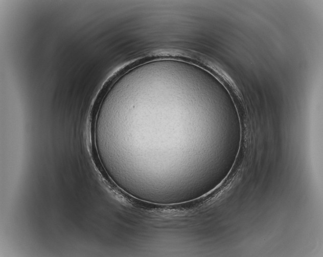 X0000116300984200912071245