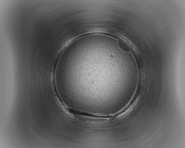 X0000116300985200912071245