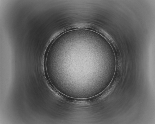 X0000116300986200912071245