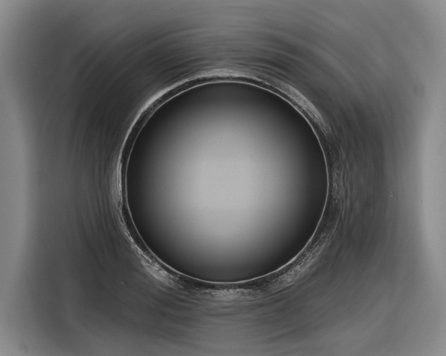 X0000116300988200912071245