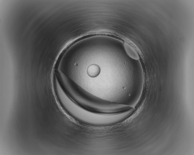 X0000116300989200912071245