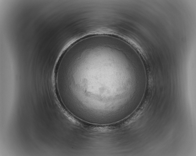 X0000116300990200912071245