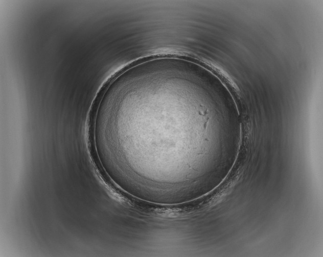 X0000116300991200912071245