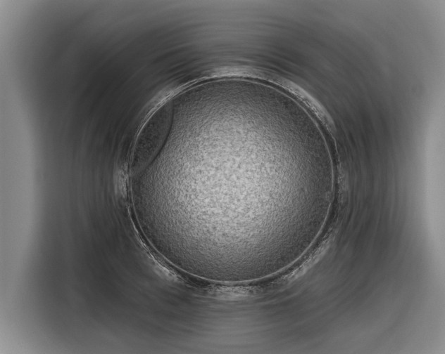 X0000116300993200912071245