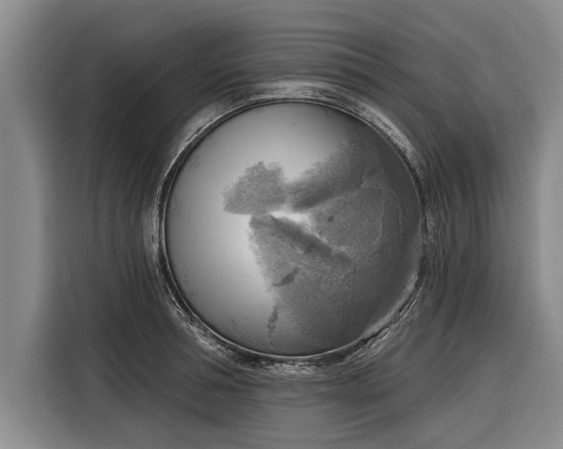 X0000116300994200912071245