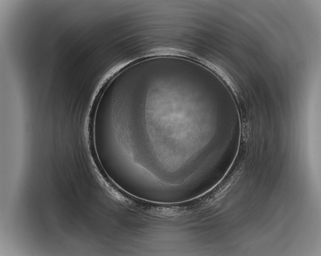 X0000116300995200912071245