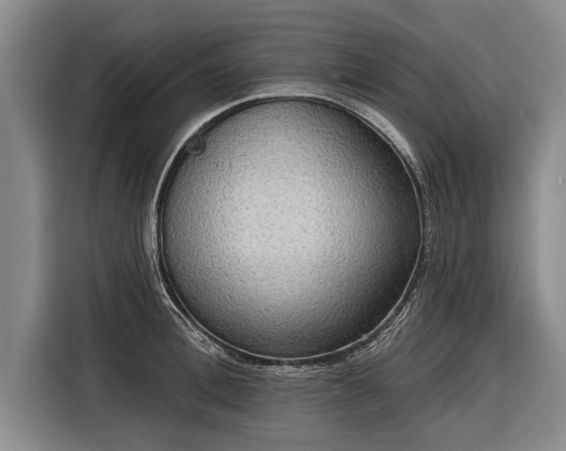 X0000116300996200912071245