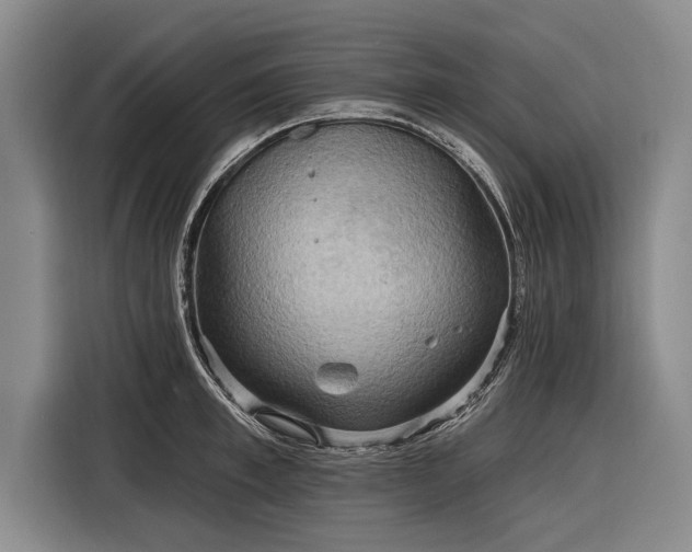 X0000116300997200912071245