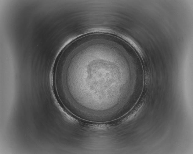 X0000116300999200912071245