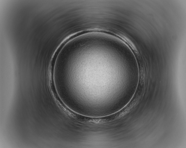 X0000116301000200912071245