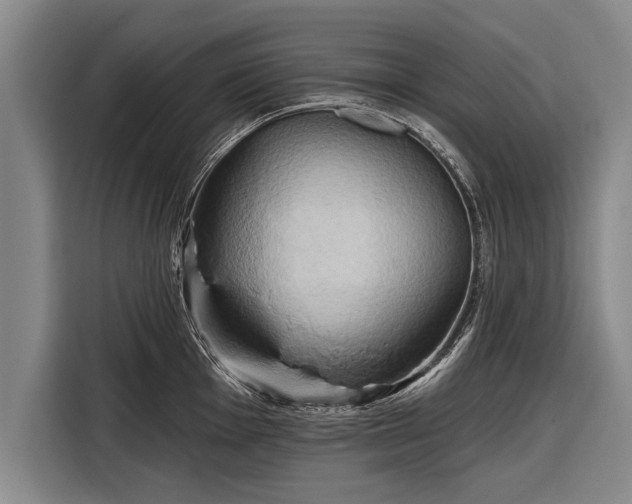 X0000116301001200912071245