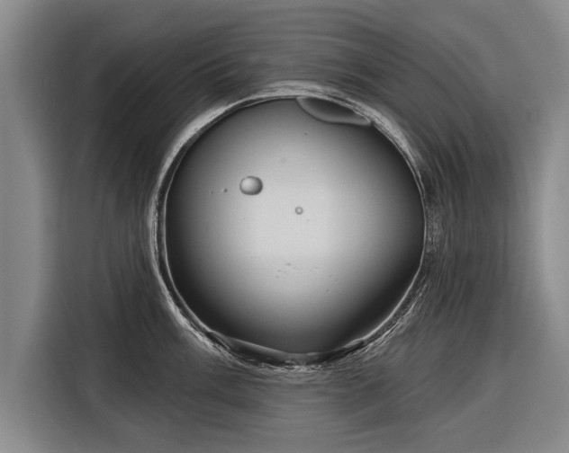 X0000116301003200912071245