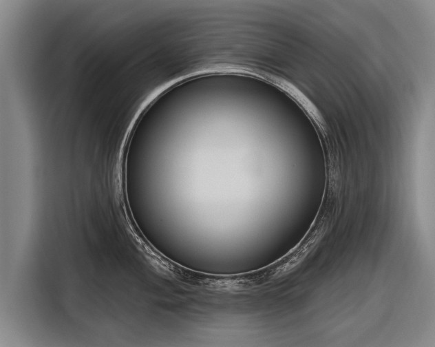 X0000116301004200912071245