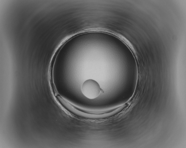 X0000116301005200912071245