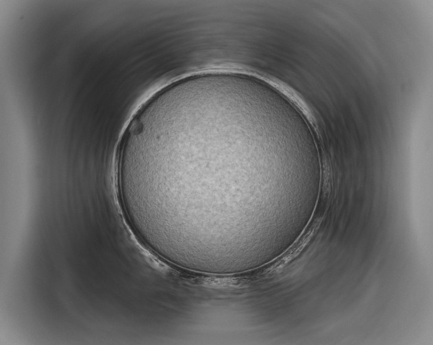 X0000116301006200912071245