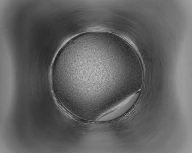 X0000116301008200912071245