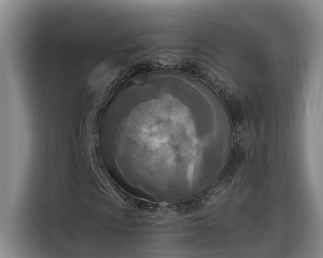 X0000116301009200912071244