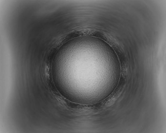 X0000116301010200912071244