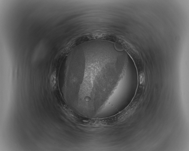 X0000116301011200912071244