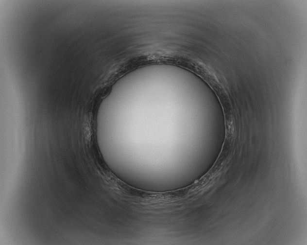 X0000116301012200912071244