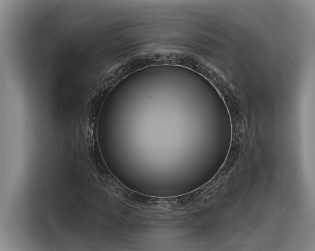 X0000116301013200912071244