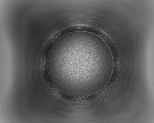 X0000116301014200912071244