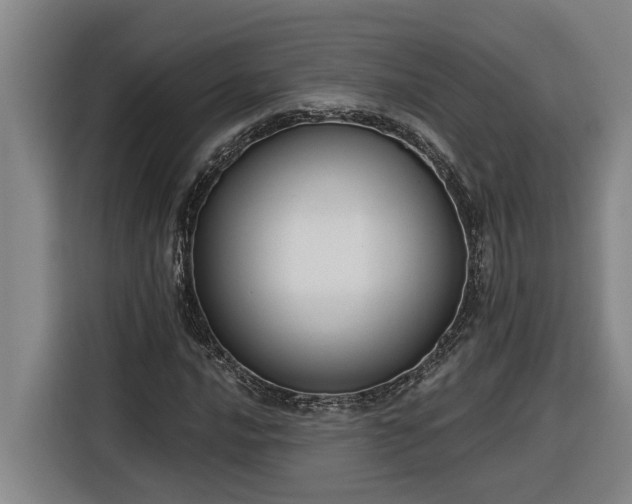 X0000116301016200912071244