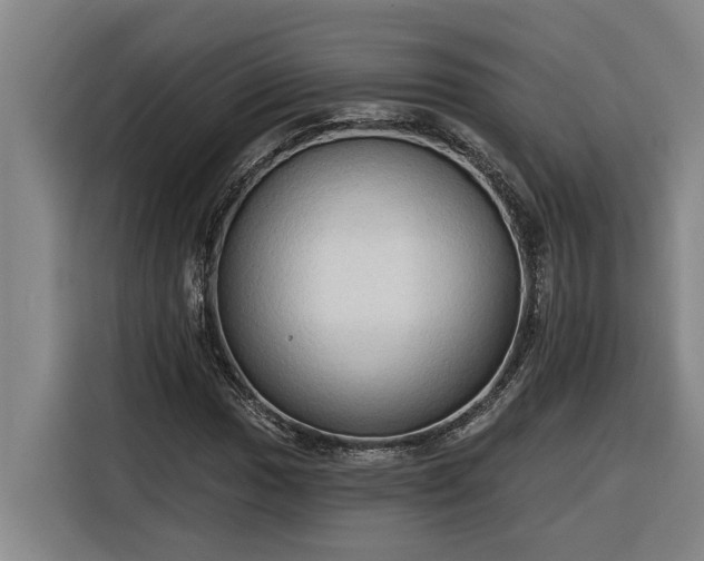 X0000116301017200912071244