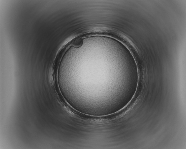 X0000116301018200912071244