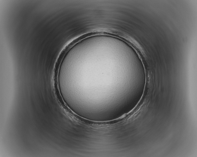 X0000116301020200912071244